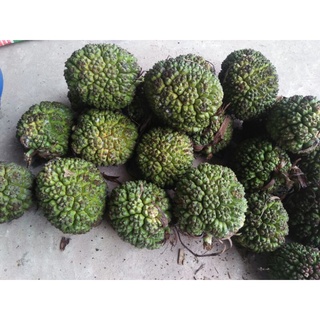 1Kg dứa rừng khô (dứa dại)