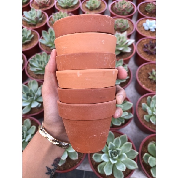 Chậu Đất Nung Trồng Sen Đá Size 7x6 Bao Bể Vỡ Hư 1 Đổi 1