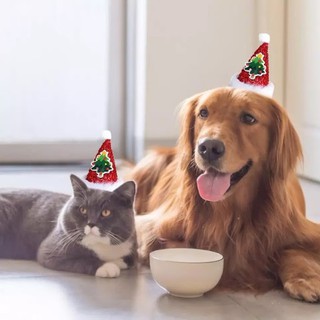 NÓN CHÓP NOEL CHO CHÓ MÈO XUDAPET - SP000537