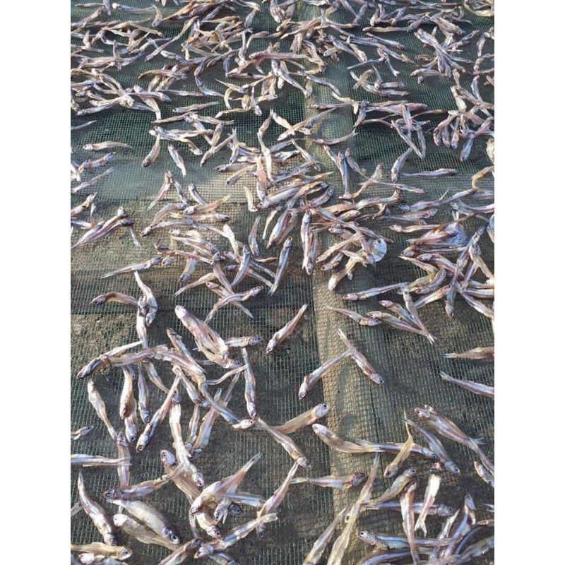 combo của a Diễn