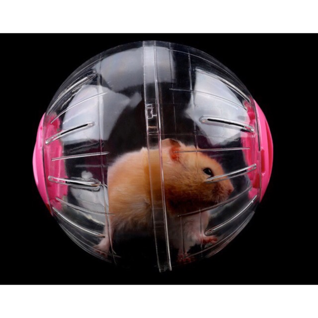 Banh chạy mica không đế, banh chạy hamster, 16cm