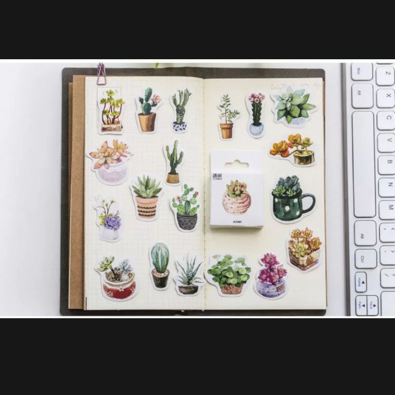 STICKER chậu sen đá hộp 45 miếng dán trang trí sổ tay, điện thoại, laptop - S06