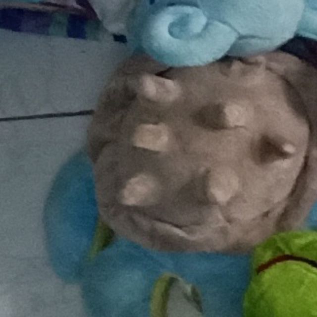 Gấu của ốc sên