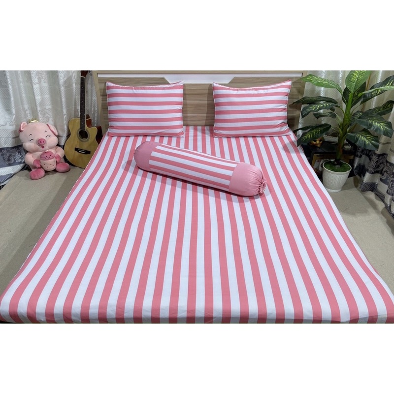 Bộ drap thun hàn quốc 4 món mát mịn mẫu kẻ sọc 5 màu siêu xinh