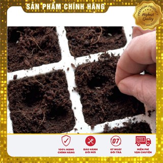 Khay Ươm hạt giống loại nhựa tiện lợi 72 lỗ