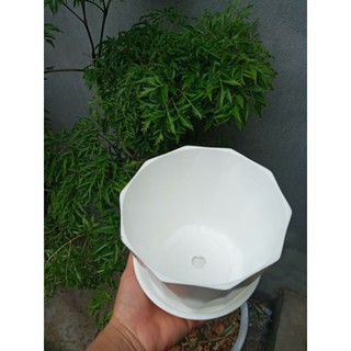 Chậu nhựa tặng đĩa đựng nước phi 15cm cao 13cm