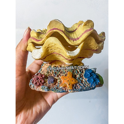 SÒ ĐÓNG MỞ NẮP TRANG TRÍ BỂ CÁ CẢNH 10CM