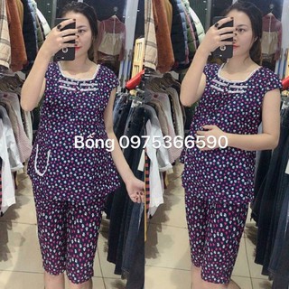 Bộ ngố bầu chất thô