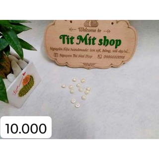 Cúc hạt trai