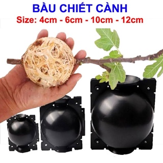 Sỉ bầu chiết cành nhựa 10cm bầu nhựa hỗ trợ chiết cành tiện lợi, tái sử dụng nhiều lần