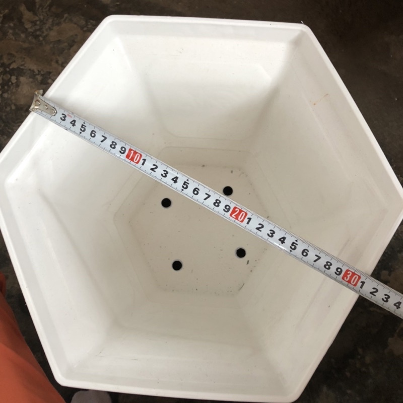 Chậu Ly Lục Giác số 3 đế cao nhựa dày cao cấp