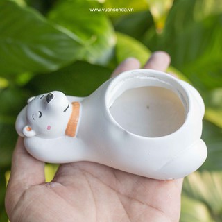 Chậu gấu bắc cực (nhựa cứng) - Vườn sen đá