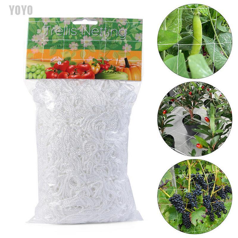 Lưới trồng cây lelo tiện dụng cho sân vườn
