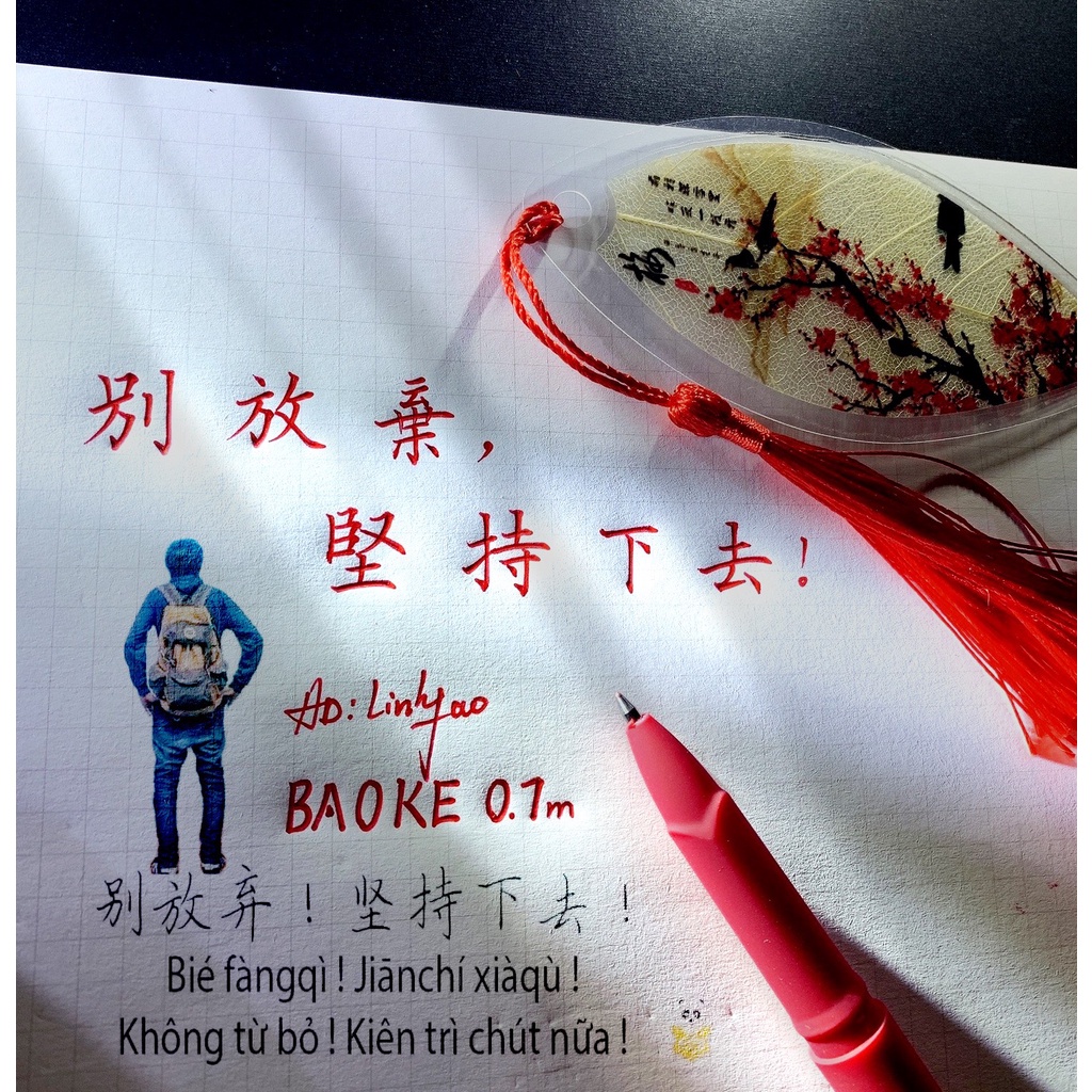 Bút Baoke chuyên dụng 0.7m viết chữ hán Gel pen - BKTL01
