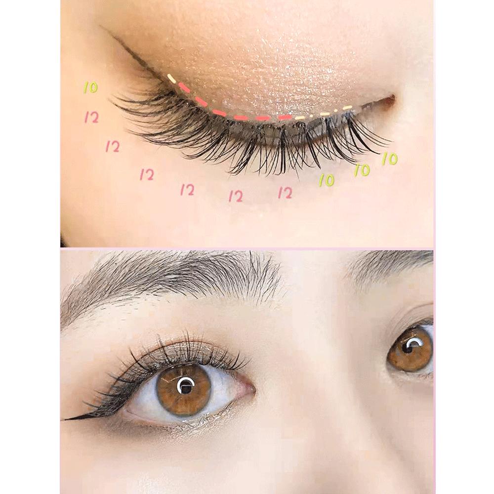 Hộp 60 Bó Lông Mi Giả Nối Dài Tự Nhiên Lâu Trôi Dễ Sử Dụng Cho Salon / Nhà Ở