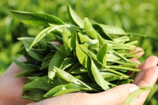 Combo cho khách sỉ