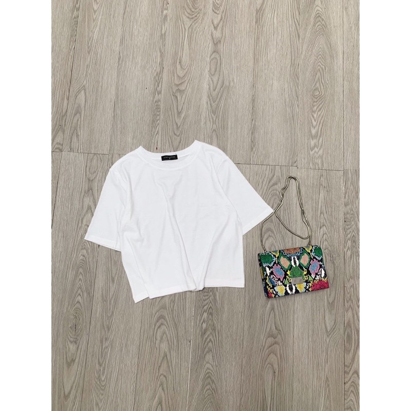 ✅Freeship✅ Áo thun lửng cotton. Hình thật shop chụp