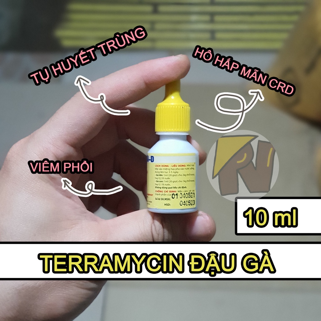 Đậu gà - terramycin D 10ml