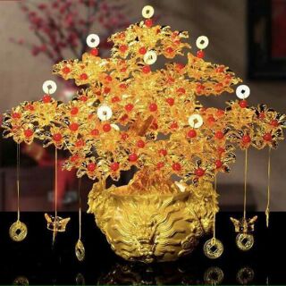 CÂY KIM TIỀN TÀI LỘC( Ảnh thật)