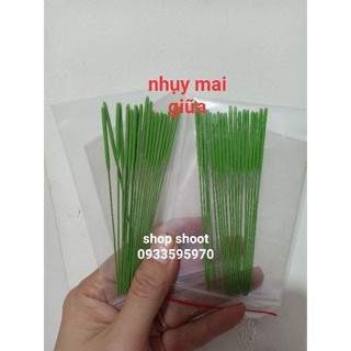 Nhụy mai đất sét
