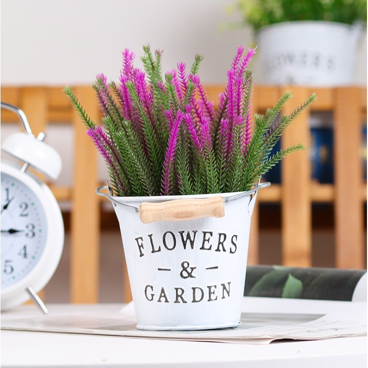 Xô thiếc và cỏ nhánh nhọn, hoa giả