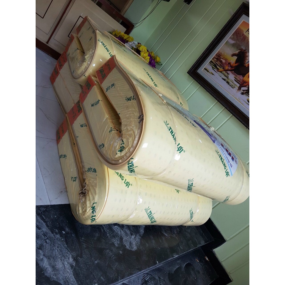 NỆM CAO SU NON THẮNG LỢI CAO CẤP - 1M8X2MX20CM