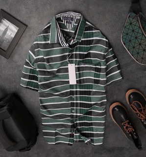 Áo sơ mi ngắn tay Tommy