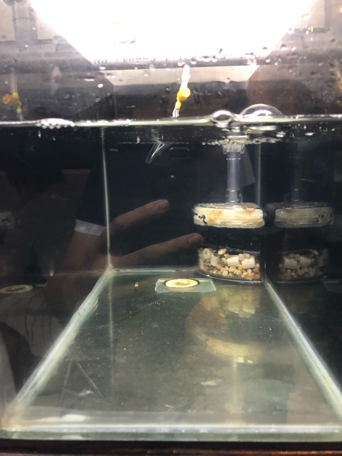 Lọc góc kiểu dáng đẹp Xy-2008 và Xy-2010, sử dụng tốt nhất cho hồ cá