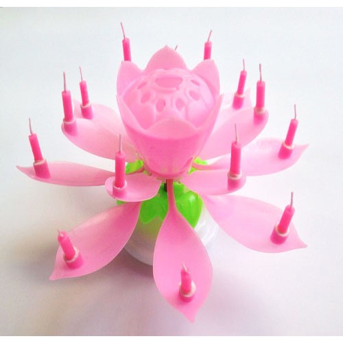 Nến Sinh Nhật 3D Ngũ Sắc - Nến sinh nhật nở hoa, phát nhạc