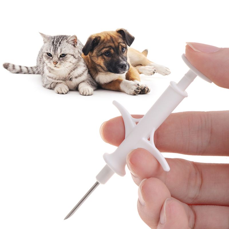 Microchips Cho Thú Cưng Uống Thuốc Có Thể Tái Sử Dụng