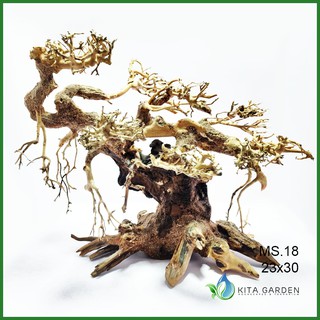 Bonsai Driftwood | kích thước 23x30 | Lũa Bonsai trang trí hồ cá thủy sinh | inbox để chọn cây thực tế