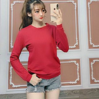 Áo nỉ trơn xả hàng 19k