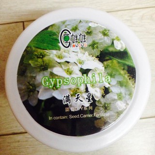 Hộp hạt giống hoa baby (chậu + đất + hạt giống)