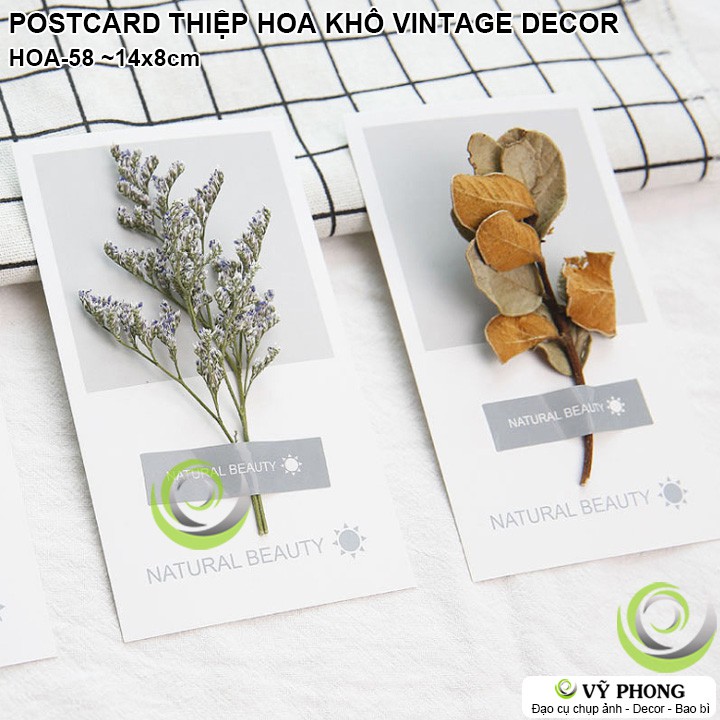 POSTCARD THIỆP HOA CỎ KHÔ VINTAGE DECOR NGHỆ THUẬT ĐẠO CỤ CHỤP ẢNH INS LOOKBOOK HOA-58