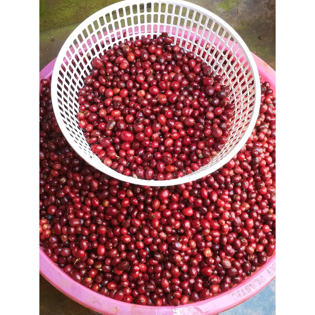 Cà Phê Robusta & Arabica Rang Mộc Nguyên Chất 100% - Loại Thượng Hạng - 250G | BigBuy360 - bigbuy360.vn