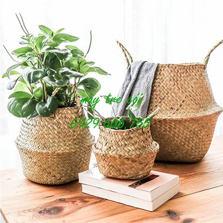 Combo bộ giỏ cói đựng đồ, trồng cây