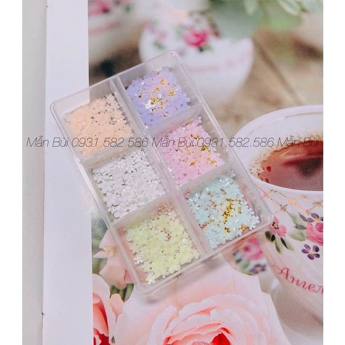 Set hoa mix bi 6 màu - phụ kiện nail- đính móng