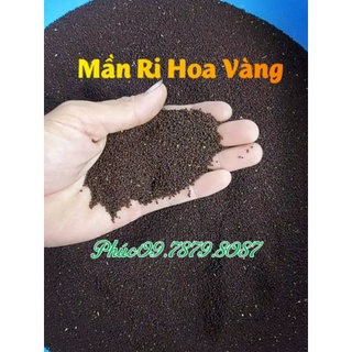 Mần Ri Hoa Vàng