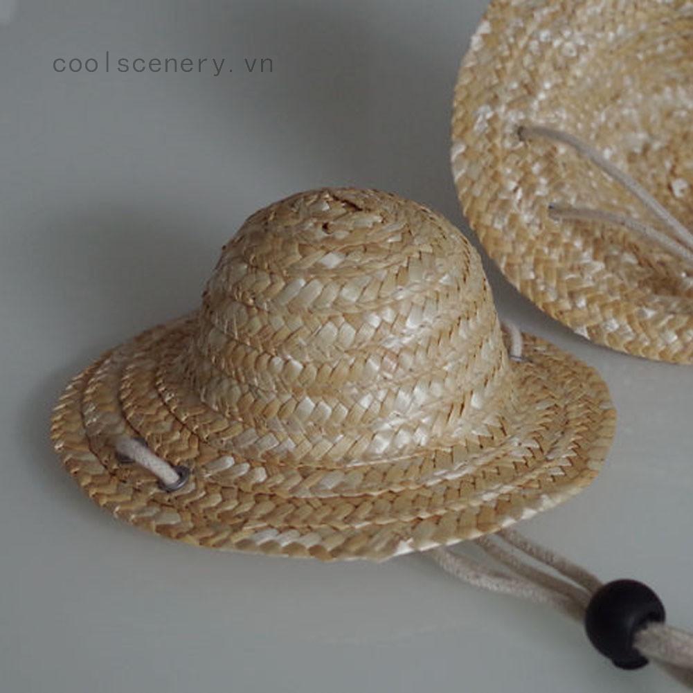 Nón cói thiết kế xinh xắn cho thú cưng