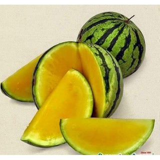 Dưa Hấu Ruột Vàng - Thái Lan