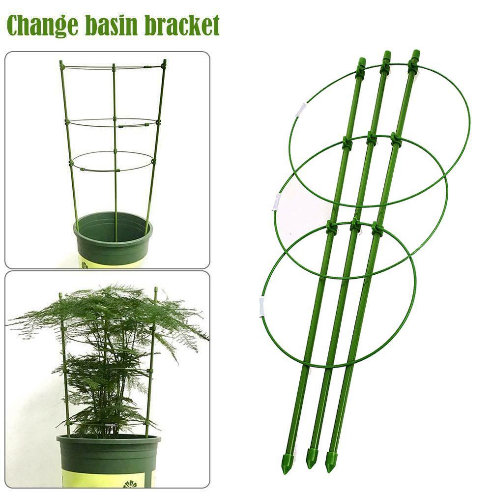 Giá Đỡ Hỗ Trợ Trồng Cây Dây Leo H5Q8