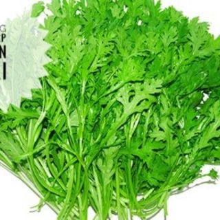Hạt Giống Tần Ô 20gram
