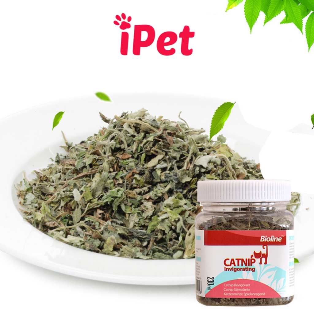 Cỏ Bạc Hà Catnip Cho Mèo Dạng Hộp 250ml - iPet Shop