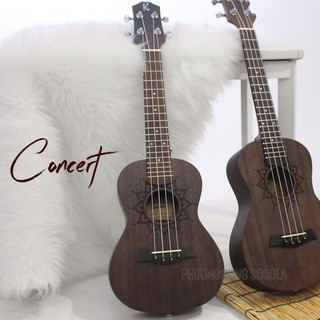 Đàn Ukulele Gỗ chính hãng Kaysen - Size Concert  - Nâu Đen