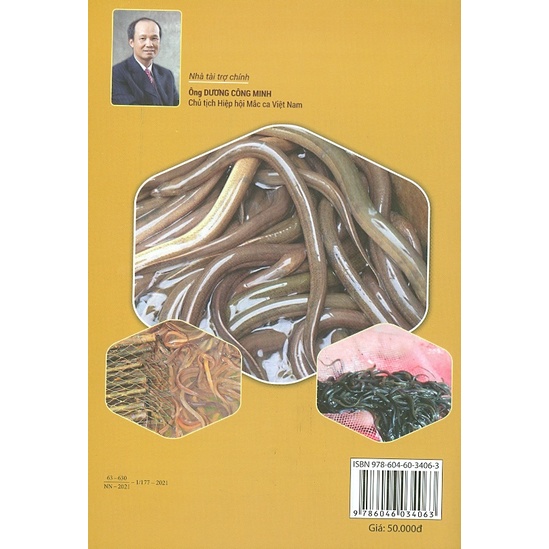 Sách - Cách Nuôi Lươn Trong Bể Không Bùn