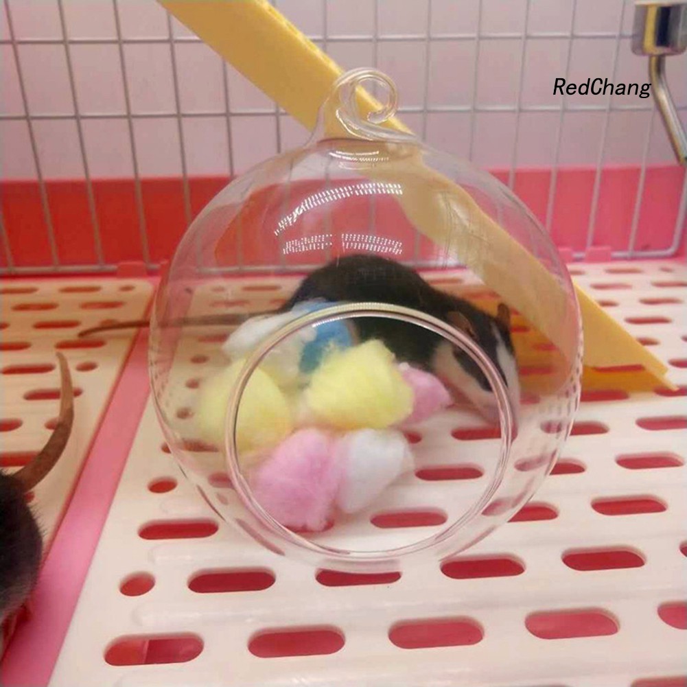 Lồng treo thủy tinh dễ thương cho chuột hamster