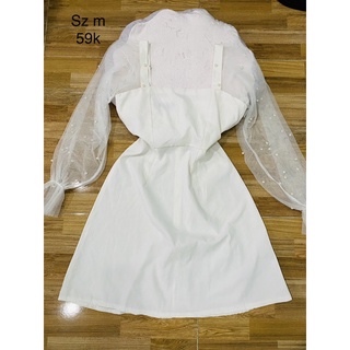 💋ÁO THUN COTTON💋FREESHIP💋100K/3 ÁO