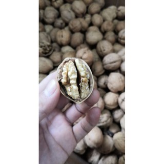 Siêu rẻ óc chó nếp 500gr