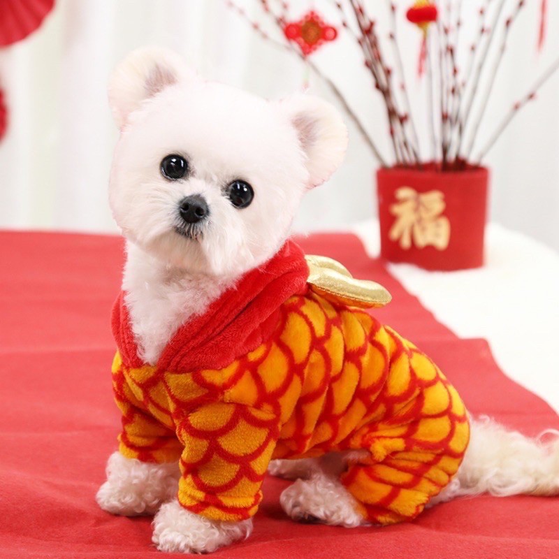 Bộ lân 4 chân cho thú cưng