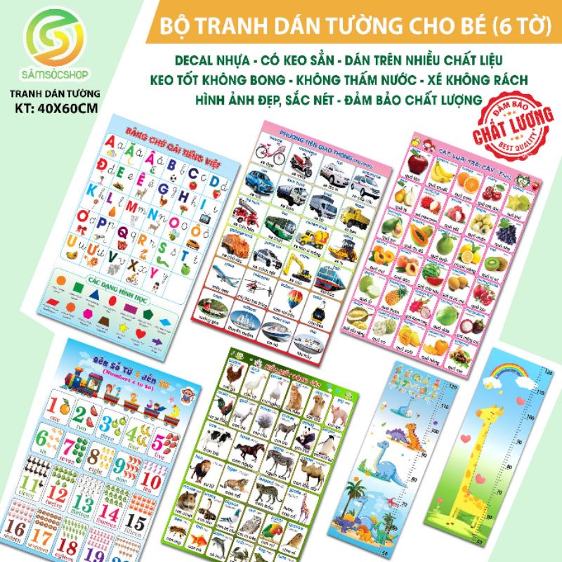 Decal dán tường cho bé  (6 tờ: bảng chữ cái, đếm số, con vật, trái cây, giao thông, thước đo) decal nhựa